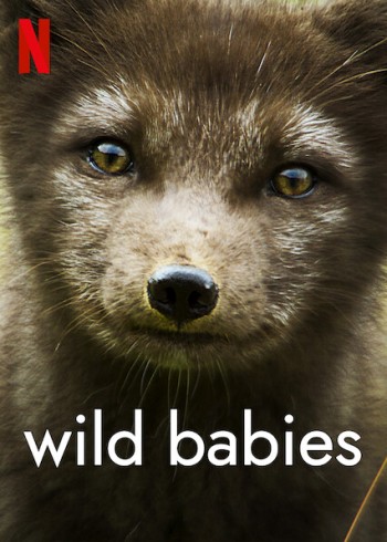 Động vật chào đời (Wild Babies) [2022]